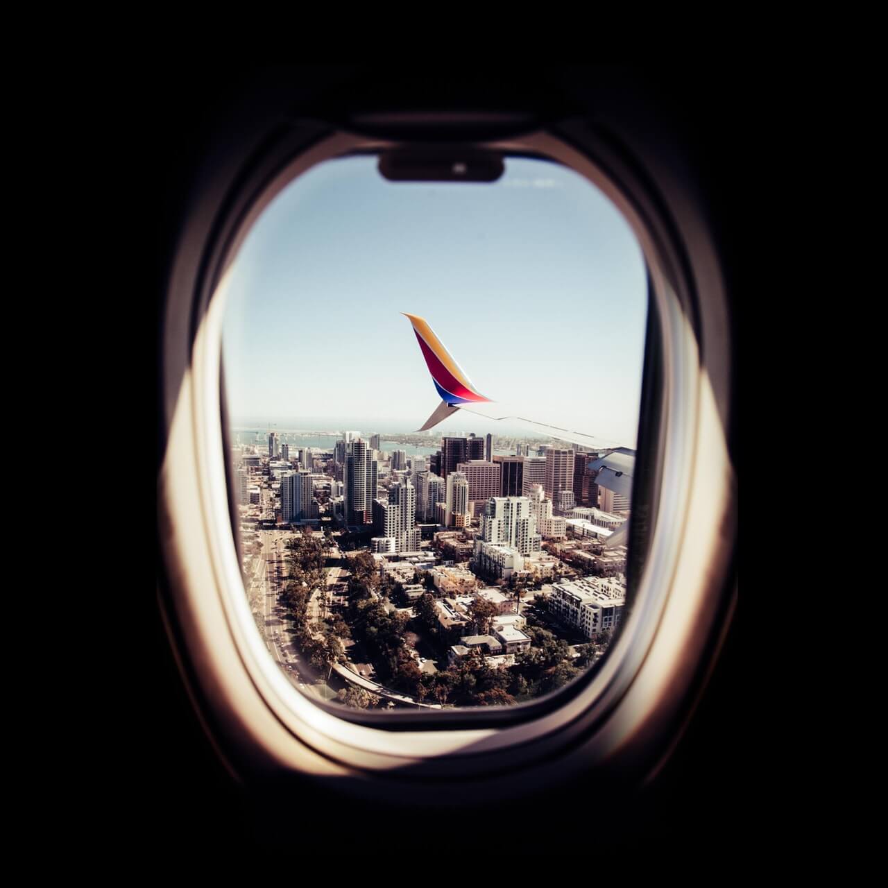 cabin crew